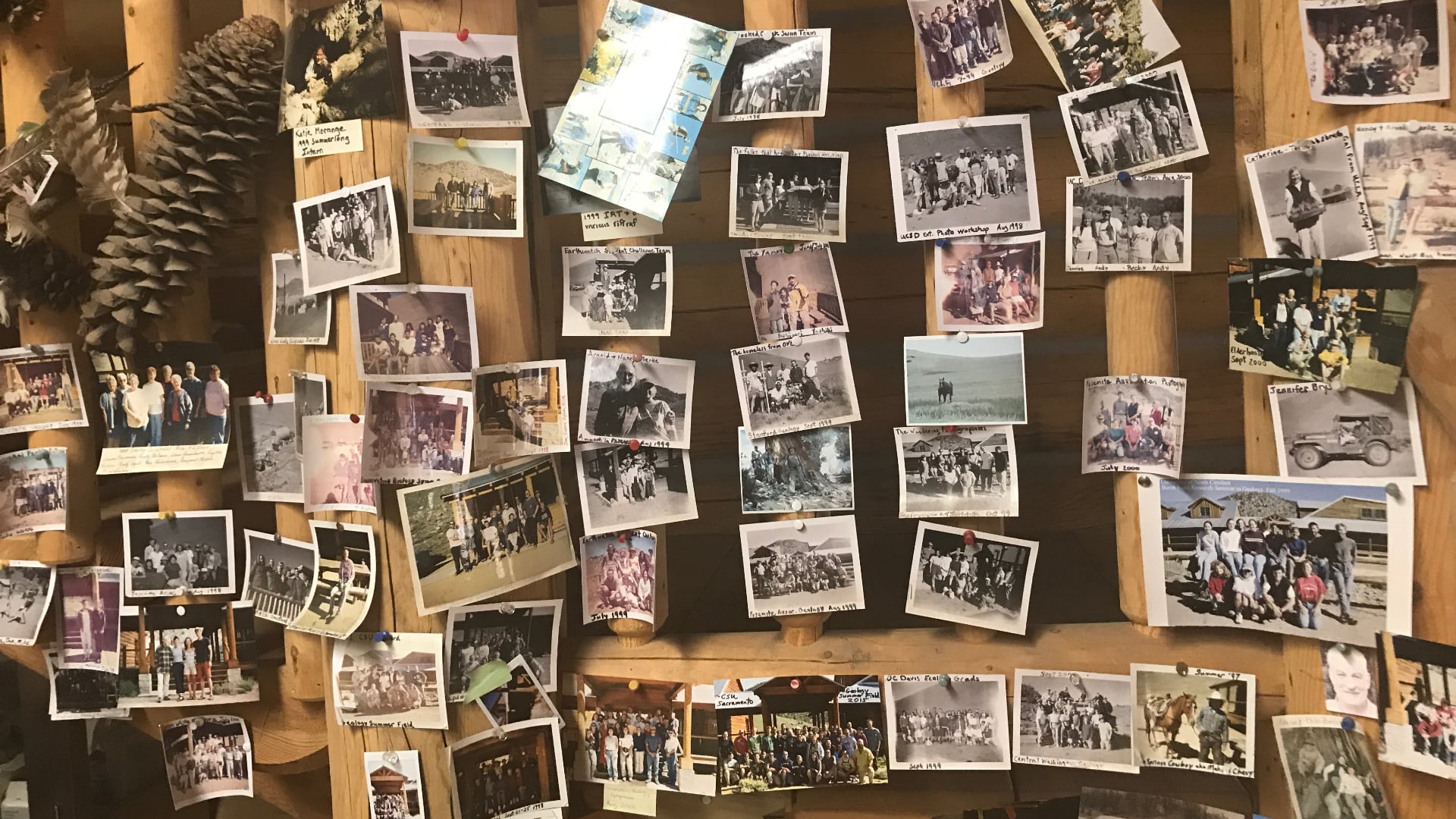 Polaroid photos of past researchers