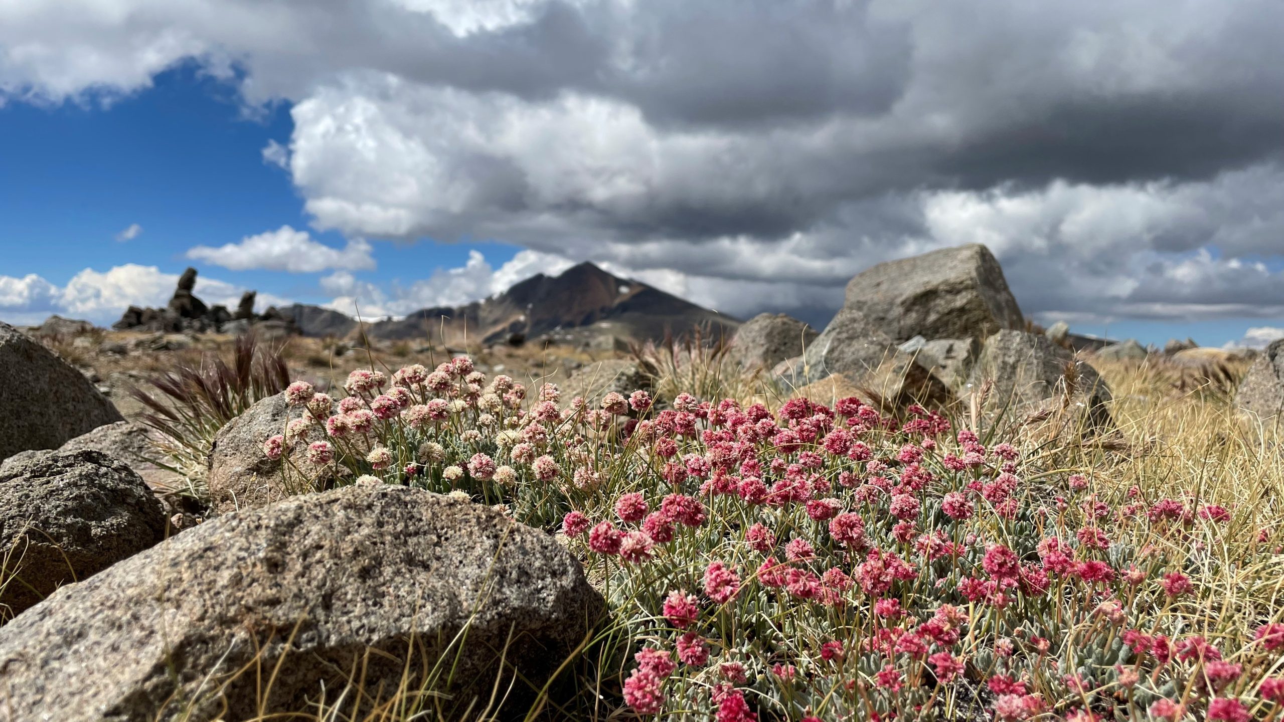 UC White Mountain Research Center — Supporting scientific